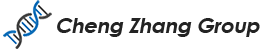 Cheng Zhang Group Logo